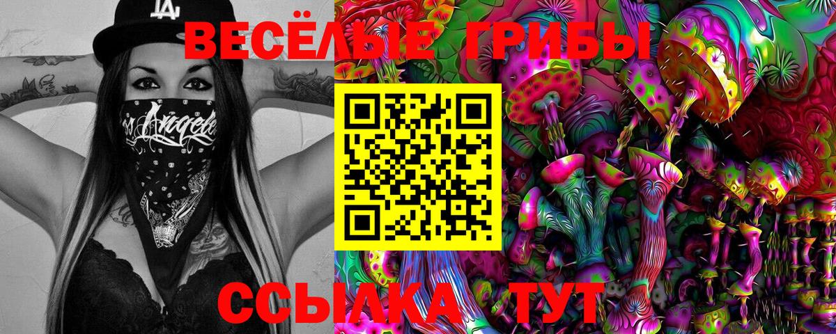 Галлюциногенные грибы мухоморы  Вход с VPN  Сунжа 